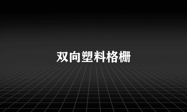 双向塑料格栅