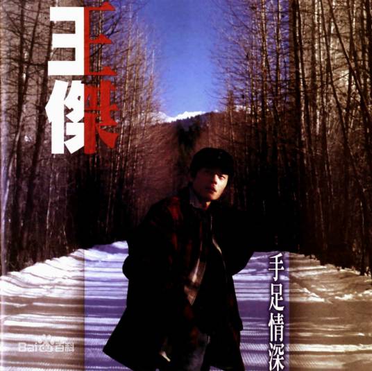 抛弃（王杰演唱歌曲）