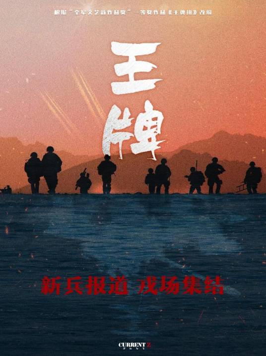 王牌（北京二十四文化传媒有限公司出品的军旅电视剧）