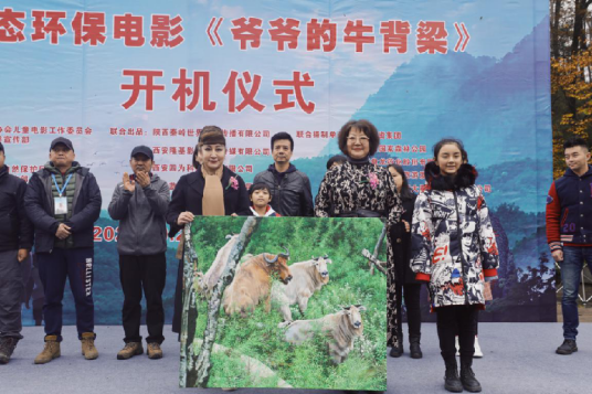 爷爷的牛背梁