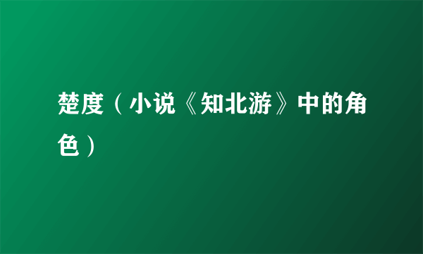 楚度（小说《知北游》中的角色）