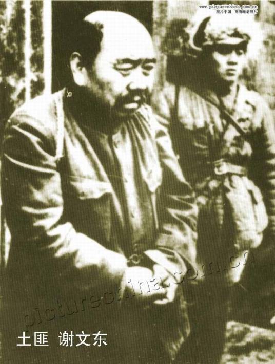 东北大剿匪