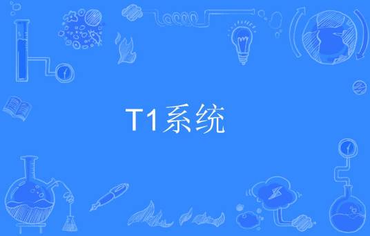T1系统