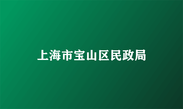 上海市宝山区民政局
