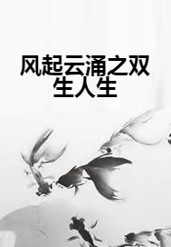 风起云涌之双生人生