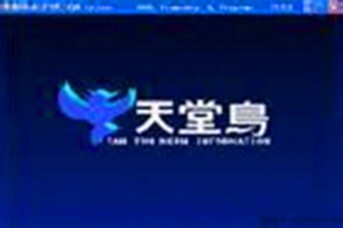 台湾天堂鸟资讯有限公司