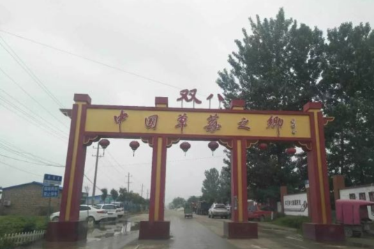 双八镇