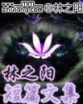 林之阳短篇文集