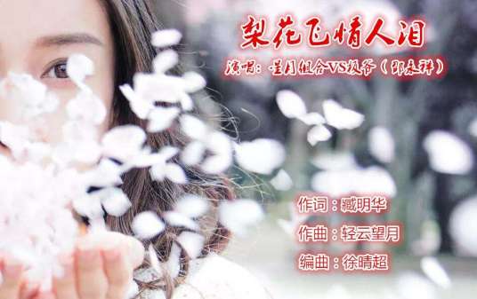 梨花飞情人泪