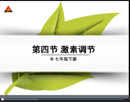 人体的激素调节