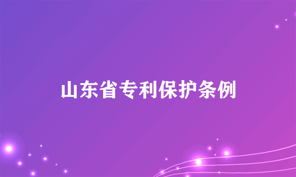山东省专利保护条例