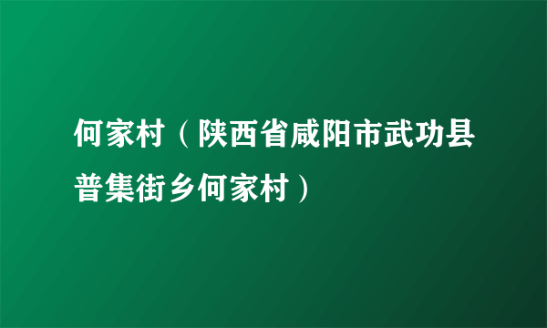 何家村（陕西省咸阳市武功县普集街乡何家村）