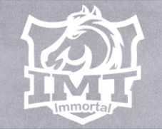 IMT战队