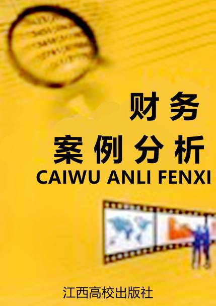 财务案例分析