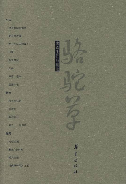 史铁生作品精选（2010年华夏出版社出版的图书）