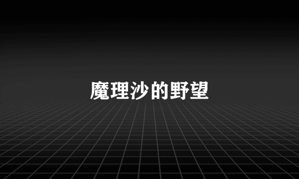 魔理沙的野望