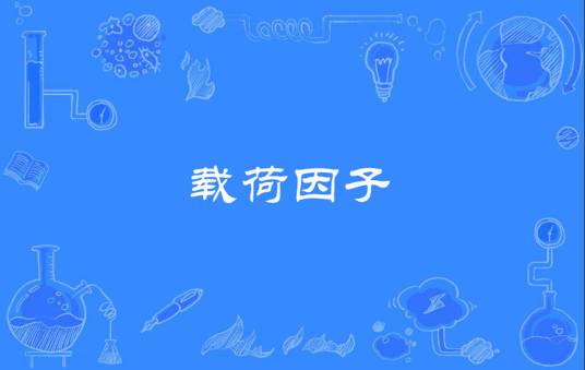 载荷因子