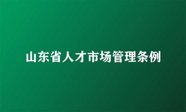 山东省人才市场管理条例