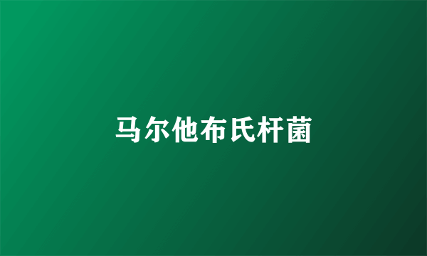 马尔他布氏杆菌
