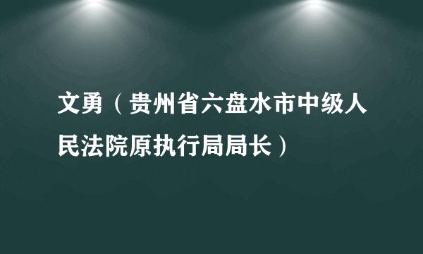 文勇（贵州省六盘水市中级人民法院原执行局局长）