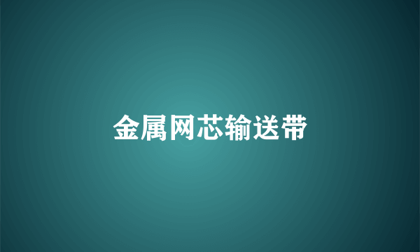 金属网芯输送带
