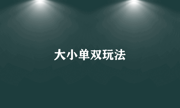 大小单双玩法