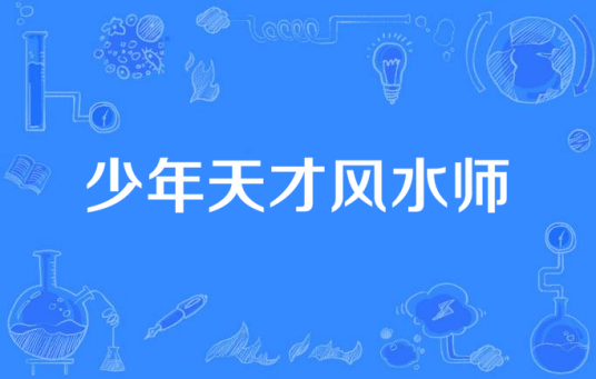 少年天才风水师