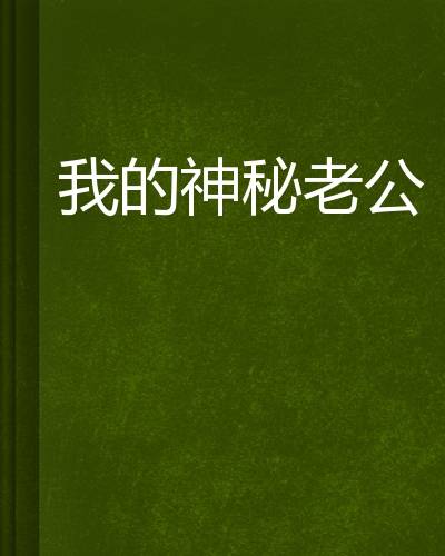 我的神秘老公（起点小说）