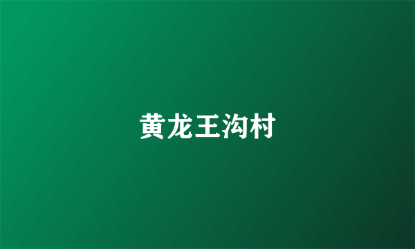 黄龙王沟村