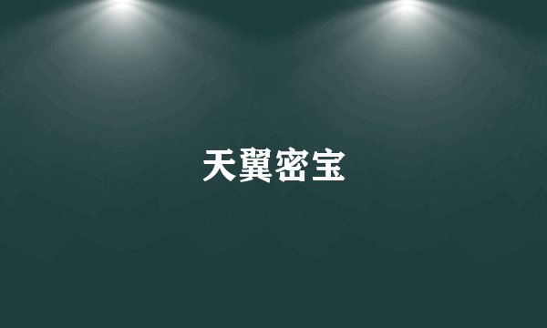 天翼密宝