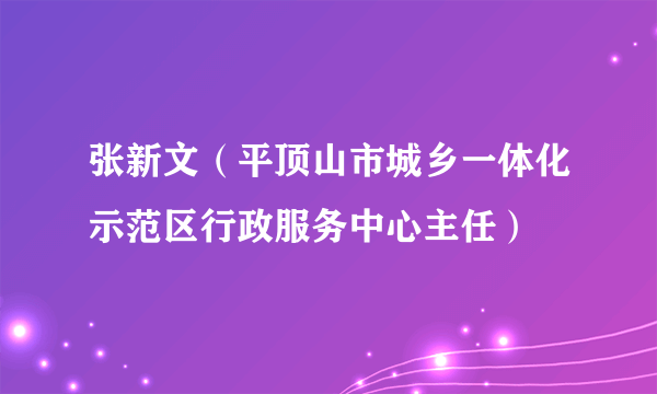 张新文（平顶山市城乡一体化示范区行政服务中心主任）