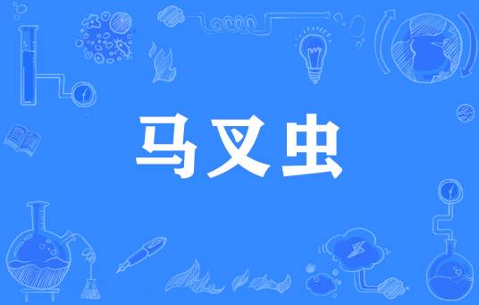 马叉虫