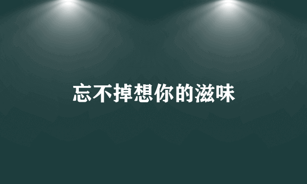 忘不掉想你的滋味