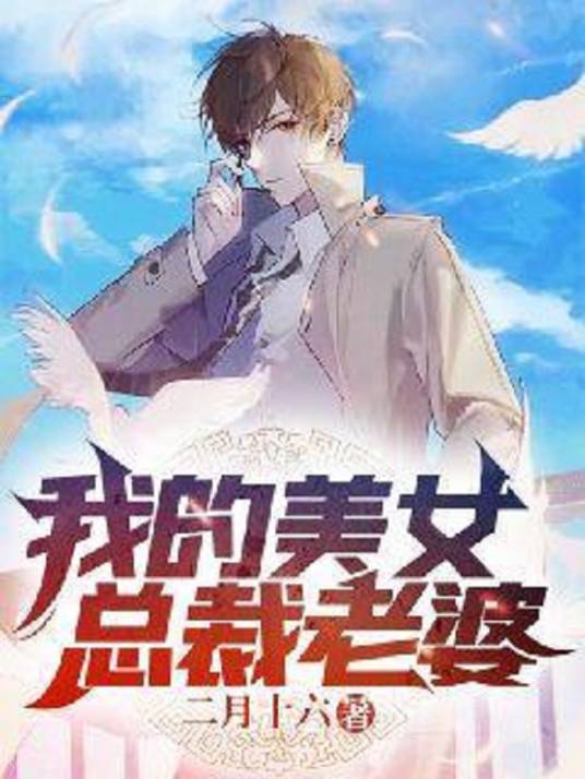 我的美女总裁老婆（二月十六所著小说）