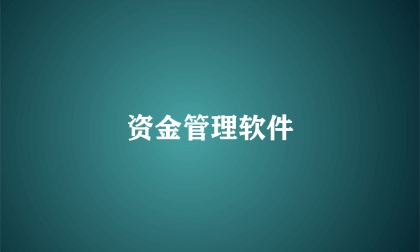 资金管理软件