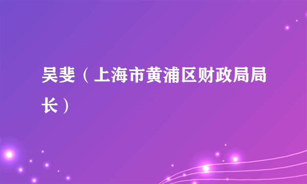 吴斐（上海市黄浦区财政局局长）