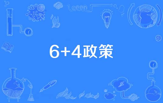 6+4政策