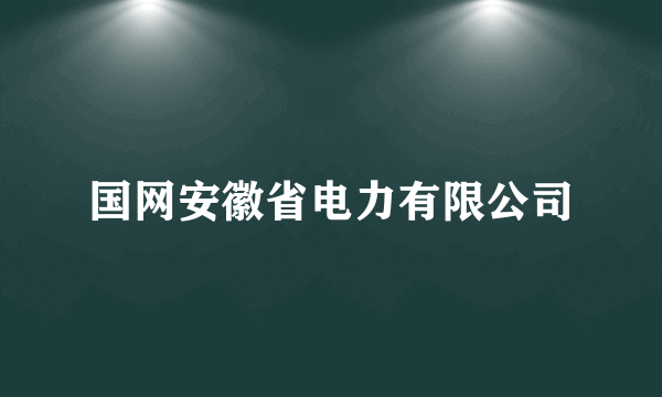 国网安徽省电力有限公司