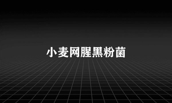 小麦网腥黑粉菌