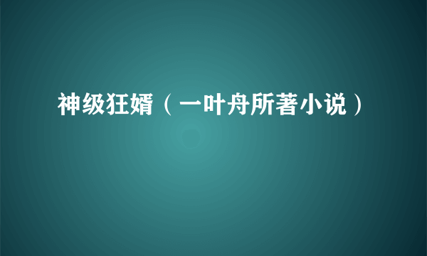 神级狂婿（一叶舟所著小说）
