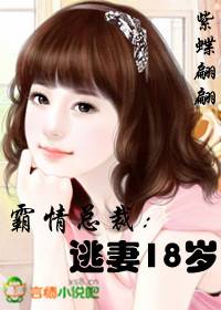 霸情总裁：逃妻18岁
