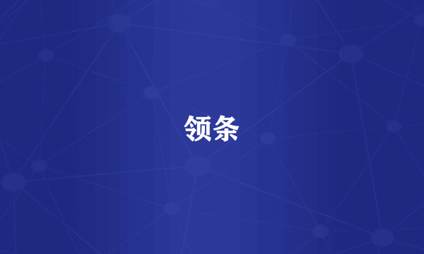 领条