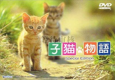 小猫的故事
