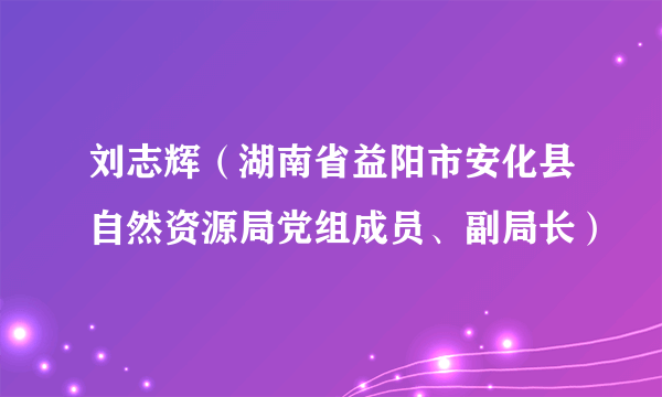 刘志辉（湖南省益阳市安化县自然资源局党组成员、副局长）