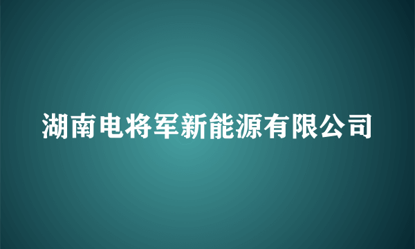 湖南电将军新能源有限公司