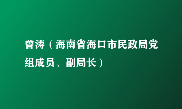 曾涛（海南省海口市民政局党组成员、副局长）