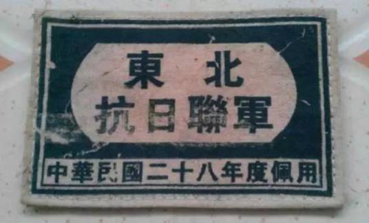 东北抗日联军（中国共产党直接领导的抗日武装力量）