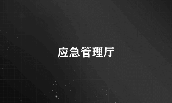 应急管理厅