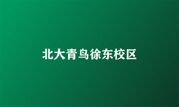 北大青鸟徐东校区