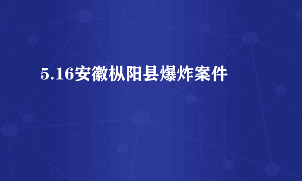 5.16安徽枞阳县爆炸案件